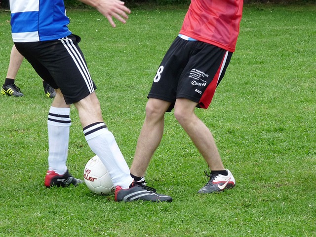 来自这种高 来自这种高