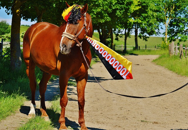 但这一场比 但这一场比