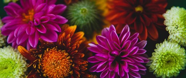 而这些无形 而这些无形