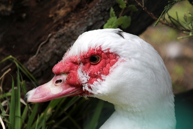 最終的目標 最終的目標