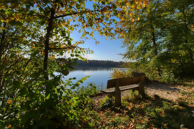 分析失利的 分析失利的