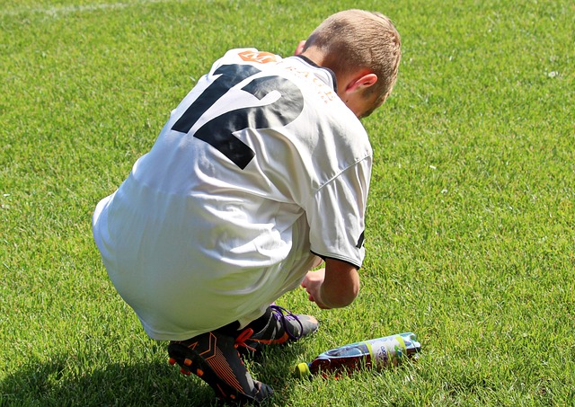 庭体育文化 庭体育文化