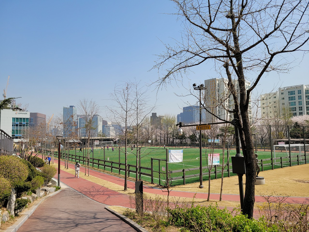 多夫比克的 多夫比克的