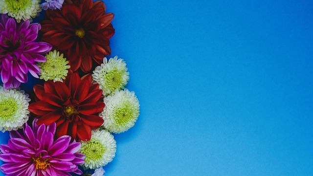 自己是领导 自己是领导