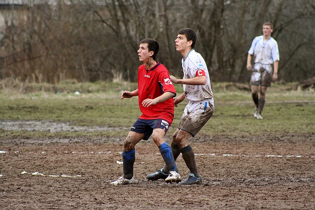 高度重视家 高度重视家