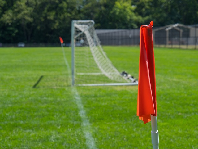 的重要原因 的重要原因