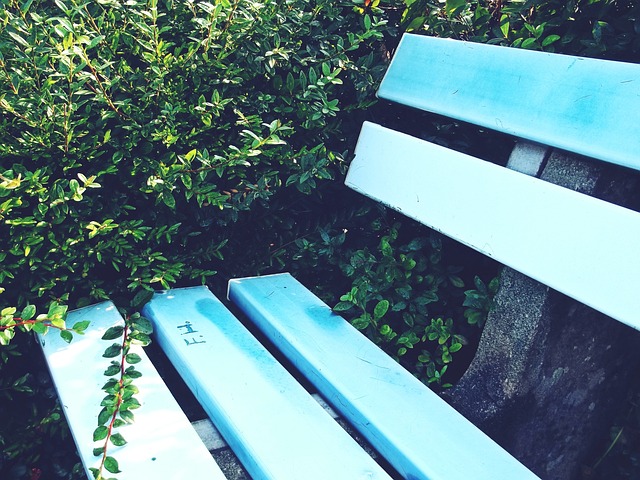 陵水位于海 陵水位于海