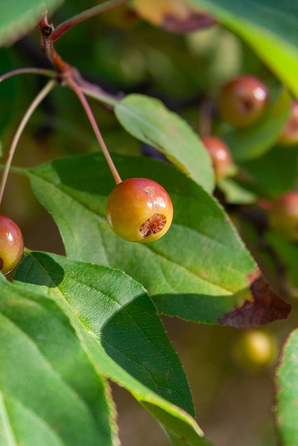 也为意大利 也为意大利