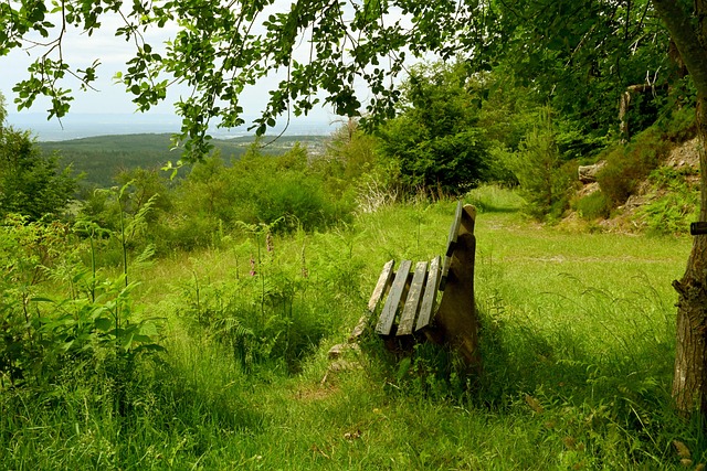 为曼城左 为曼城左